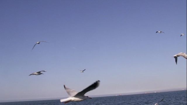 Вспоминая паром на Крым