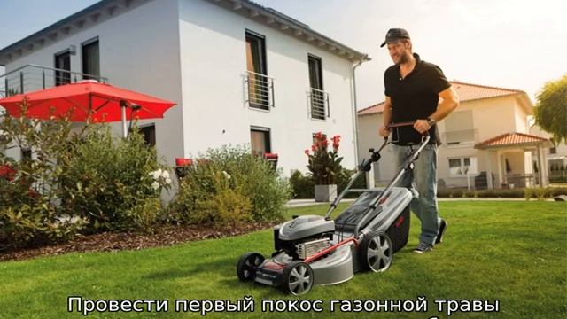Когда косить газон первый раз после посадки