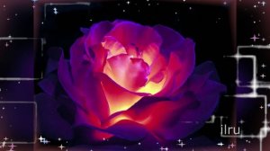 Добрый вечер ! Желаю доброго вечера! Пожелания чудесного вечера