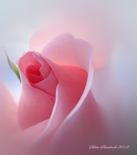 Самое Красивое Поздравление С Юбилеем 50 Лет Женщине смотреть онлайн