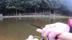 Японские снасти и MX Fishing на состязании Тrout Area am Weiheranlage im Heimlinger Tal.