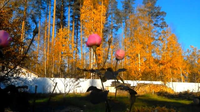 Золотая осень