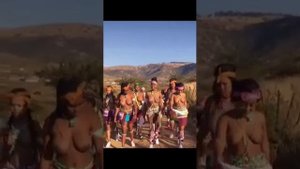 ZULU MAIDENS ( SOUTH AFRICA )