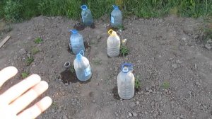 Простой капельный полив из бутылок