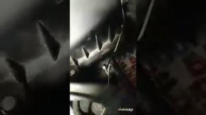 Ford focus c-max ДХО (Орлиный глаз)