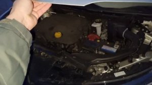 Доработки Рено Каджар: газовые упоры капота, решётка воздухозаборника.