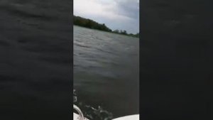 новая Ладога М на Волге в ветер