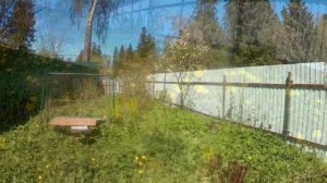 ЛУЧШЕ НЕТУ....mp4