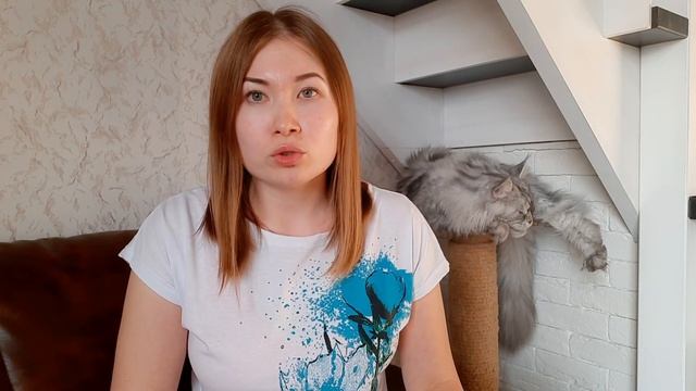 ЖИЗНЬ С МЕЙН-КУНАМИ / ПРИУЧЕНИЕ КОШЕК К УНИТАЗУ