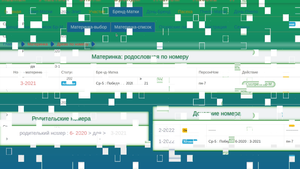 Материнка. Родословная по номеру. Вторая ветка от А до Я