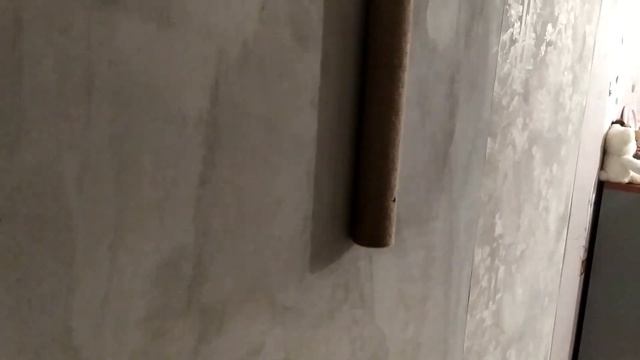 Развлечение для кошки