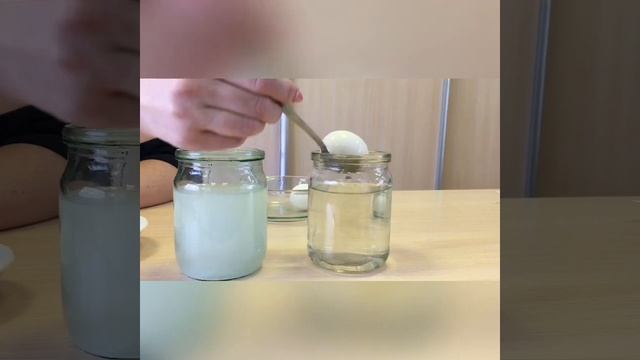 Познавательное развитие. Экспериментирование. Тема: Удивительное яйцо. смотреть онлайн