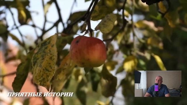 Жених скрыл, что он миллионер и приехал на свадьбу на старой развалюхе...