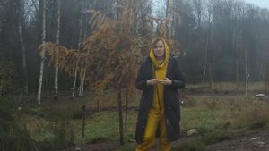 Папоротники в дизайне сада.