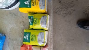 технопланктон для толстолобика