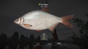 Густера на Белой / Со дна Русской рыбалки. ( Russian Fishing 4/Русская рыбалка 4 )