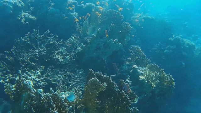 Море-море, мир бездонный...