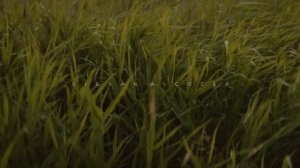 Best of Gibran Alcocer (Beautiful Piano Mix)