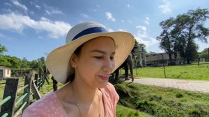 Музей слонов, новорождённые слоники. Хозяин показал нам много всего интересного