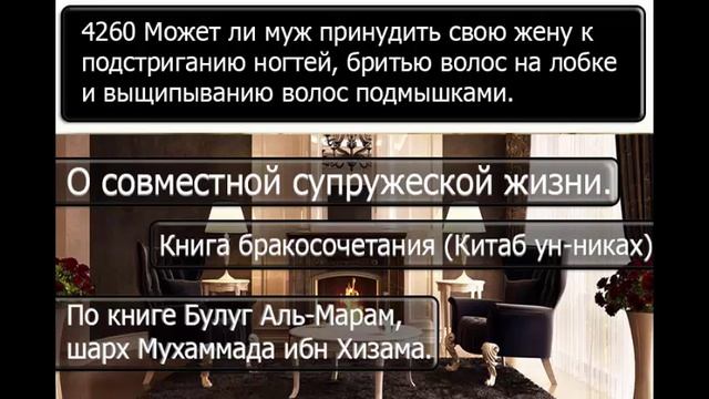 Может ли жена заставить мужа