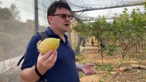 КАК РАСТЁТ ЭТРОГ