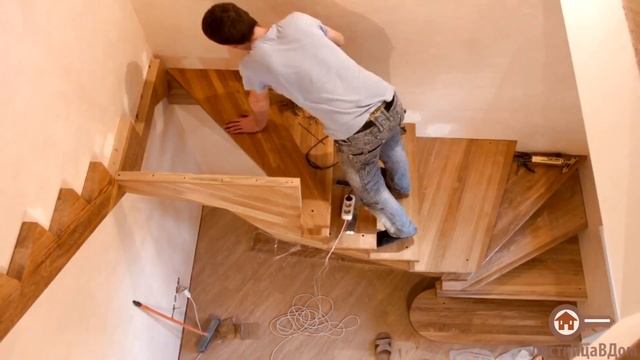 Москва, м. Войковская, Дуб смотреть онлайн