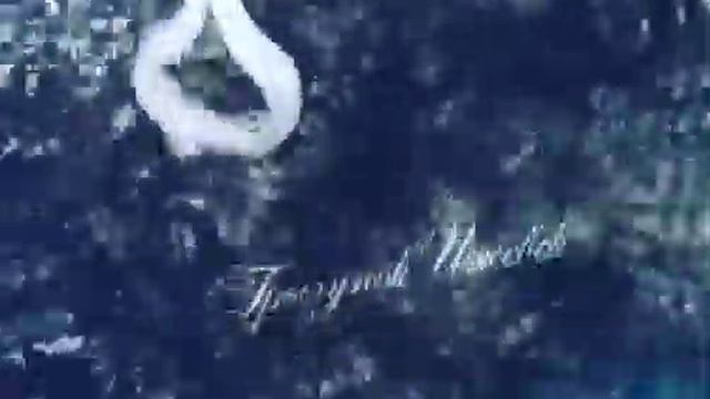 Именной держатель с грызунком (пищевой силикон) смотреть онлайн