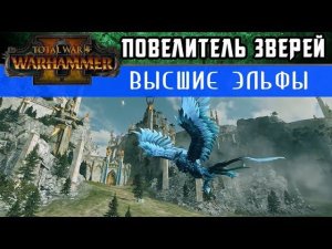 Высшие Эльфы - Инструктаж Повелителя зверей Total War WARHAMMER 2 (с переводом на русский)
