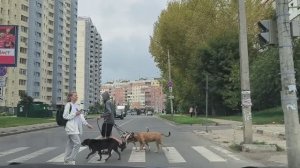 Нижний Новгород 🚙 поехали от Богдановича до Генерала Ивлиева