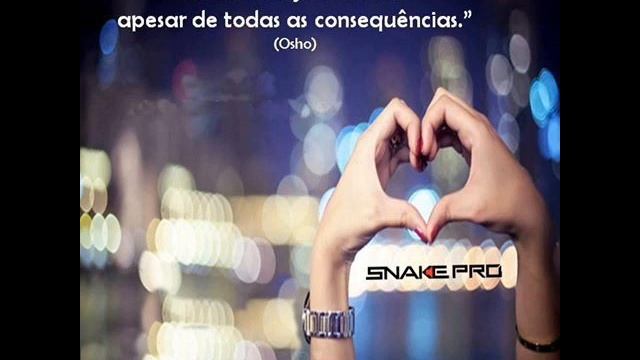 Snaker Pro смотреть онлайн