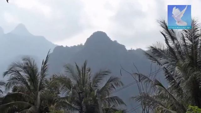 вот решил сделать слайд-шоу "В горах Лаоса" смотреть онлайн