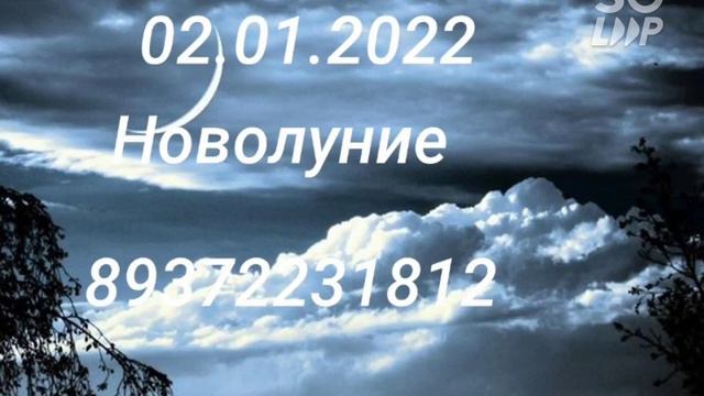 Новолуние 01.02.2022 89372231812 смотреть онлайн