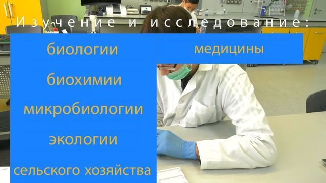 Лаборатория биологии и ее научно исследовательский потенциал.
