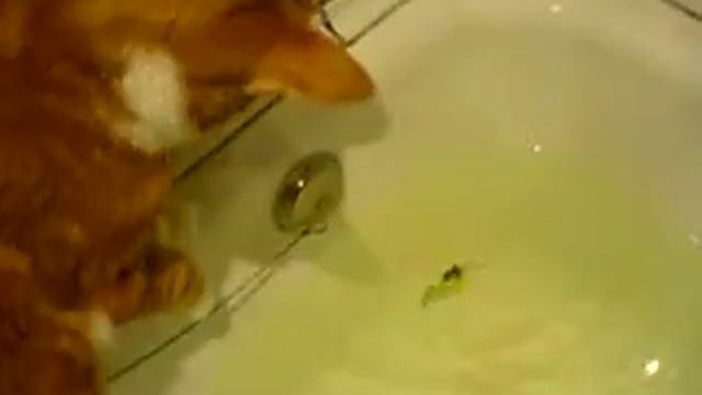 Воблер ручной работы из бальзы.Медленно тонущий.Z-45мм. смотреть онлайн