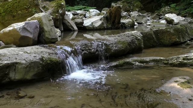 ? Быстро расслабьтесь под целебное и успокаивающее журчание воды нежного горного ручья ?| Шум воды