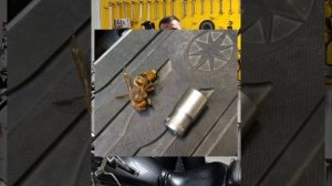 Yamaha XVS 1300, предсезонное ТО. #yamahaxvs1300