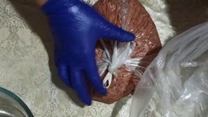 Печёночный рулет( зельц). Семейный рецепт