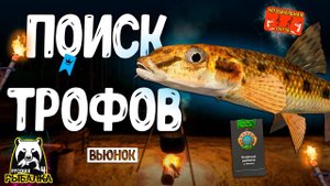 РР4/ рыбалка для души, ловим как универсал, общаемся 03.11.23