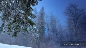 Моя любимая музыка