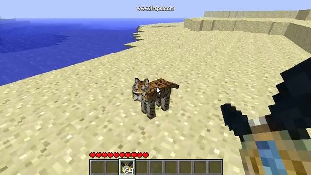 30 Second Minecraft: Taming Mo-Creatures BigCat Cub