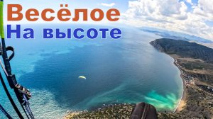 Весёлое | На высоте.