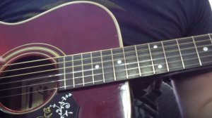 Thomas TM-200 Folk Guitar