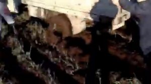 Трактор Т-70