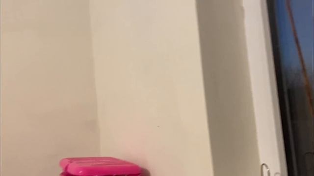 262❤️День бездельника! Подцепила заразу на радость хейтерам?. Видеозвонки с семьей! смотреть онлайн