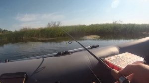 РЫБАЛКА НА ЩУКУ В ЛИПЕЦКЕ В ЖАРКИЙ ДЕНЬ ЛЕТА/ Рыбалка с лодки/