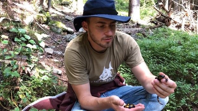 Salamandra Salamandra In Ukraine / Саламандра огненная в Украине