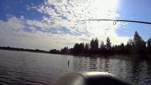 За щукой на лесное озеро  Ловля щуки на воблеры в сентябре