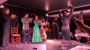 Великолепная Барселона / Испанский танец Фламенко / Barcelona ????????