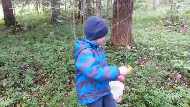 За грибами с сыном в лес... смотреть онлайн