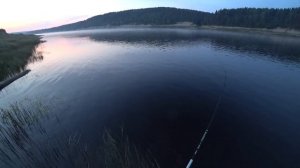 рыбалка на р.Сухона 08.06.19